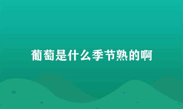 葡萄是什么季节熟的啊