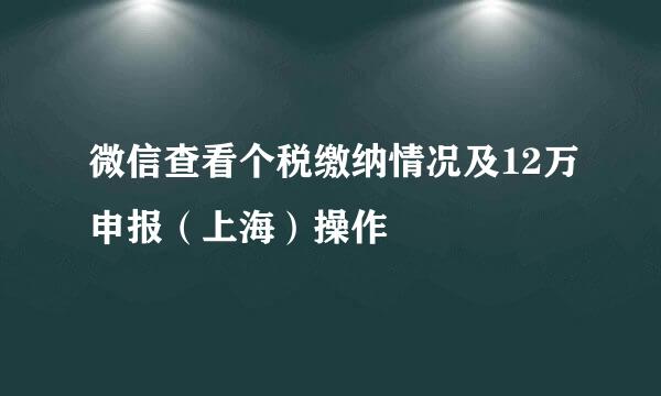 微信查看个税缴纳情况及12万申报（上海）操作