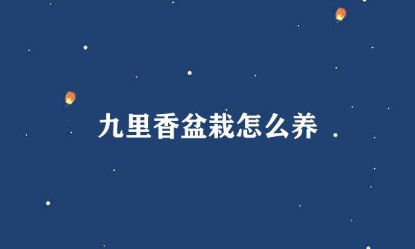 九里香盆栽怎么养