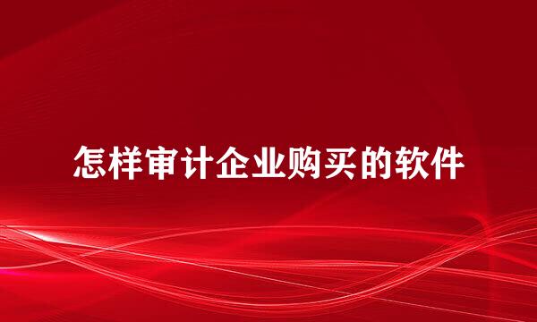 怎样审计企业购买的软件