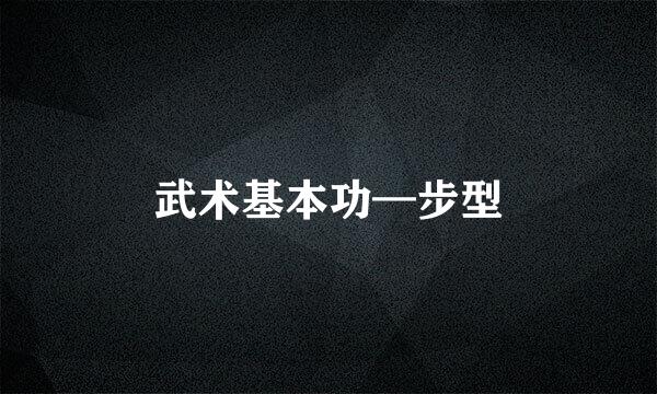 武术基本功—步型