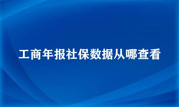工商年报社保数据从哪查看