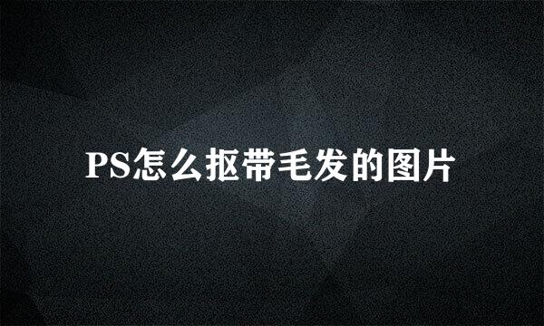PS怎么抠带毛发的图片