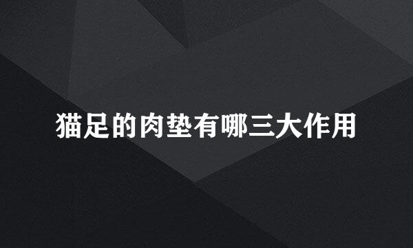 猫足的肉垫有哪三大作用