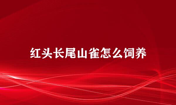 红头长尾山雀怎么饲养