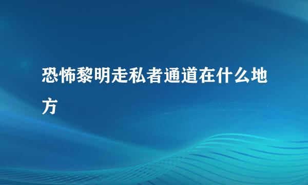 恐怖黎明走私者通道在什么地方