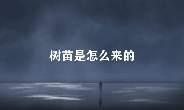 树苗是怎么来的