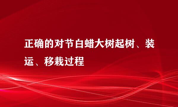 正确的对节白蜡大树起树、装运、移栽过程