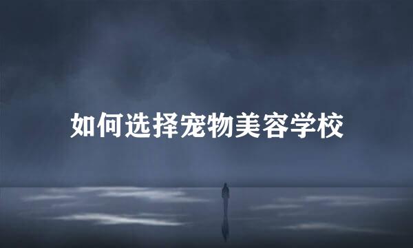 如何选择宠物美容学校