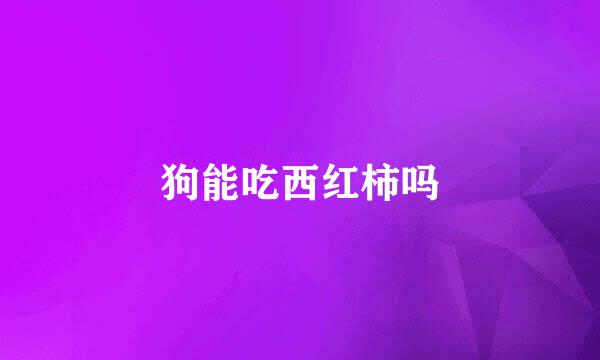 狗能吃西红柿吗