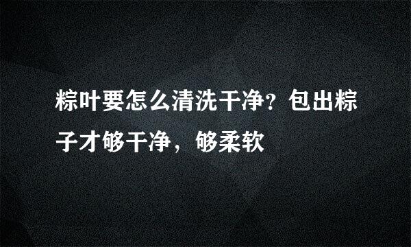 粽叶要怎么清洗干净？包出粽子才够干净，够柔软
