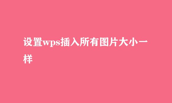 设置wps插入所有图片大小一样
