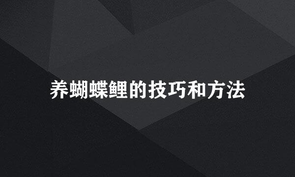 养蝴蝶鲤的技巧和方法