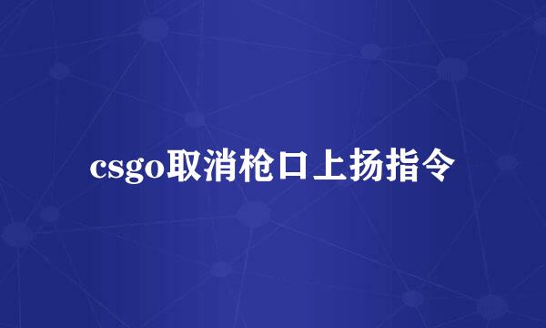 csgo取消枪口上扬指令