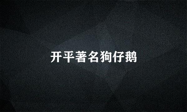 开平著名狗仔鹅