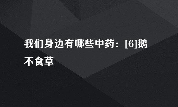 我们身边有哪些中药：[6]鹅不食草