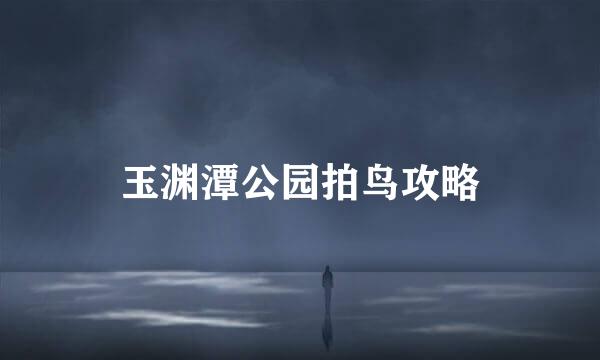 玉渊潭公园拍鸟攻略