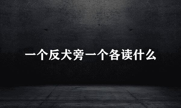 一个反犬旁一个各读什么