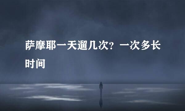 萨摩耶一天遛几次？一次多长时间