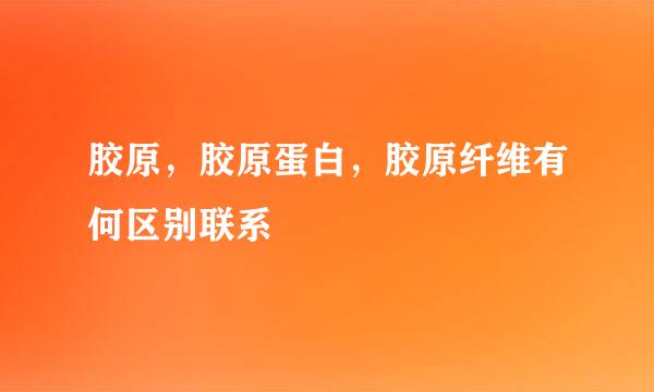 胶原，胶原蛋白，胶原纤维有何区别联系