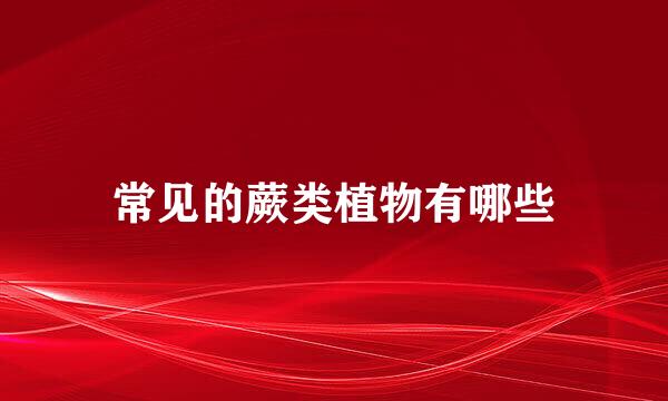 常见的蕨类植物有哪些