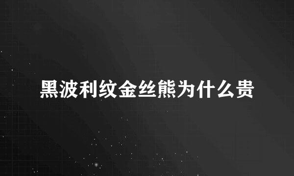 黑波利纹金丝熊为什么贵