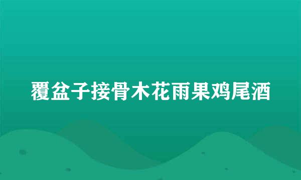 覆盆子接骨木花雨果鸡尾酒