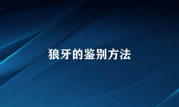 狼牙的鉴别方法