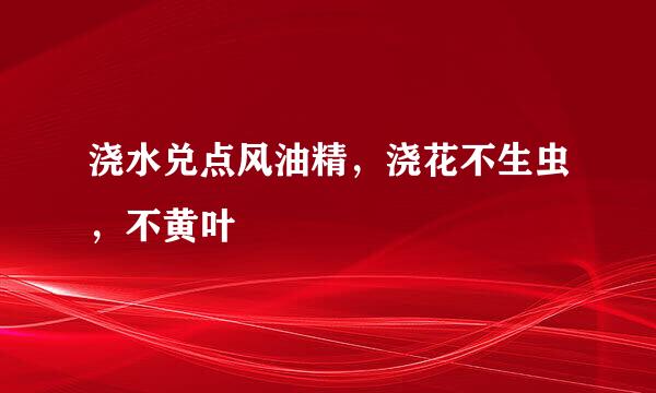 浇水兑点风油精，浇花不生虫，不黄叶