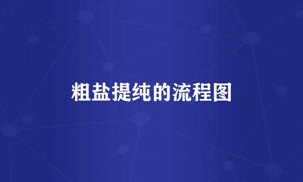粗盐提纯的流程图