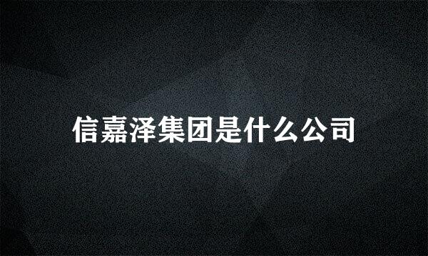 信嘉泽集团是什么公司