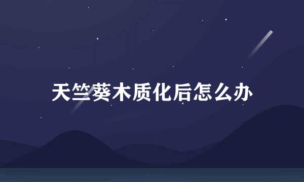 天竺葵木质化后怎么办