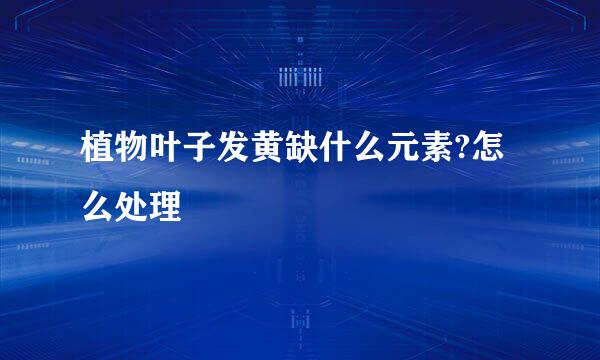 植物叶子发黄缺什么元素?怎么处理