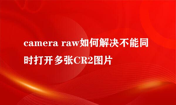 camera raw如何解决不能同时打开多张CR2图片