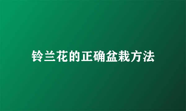 铃兰花的正确盆栽方法