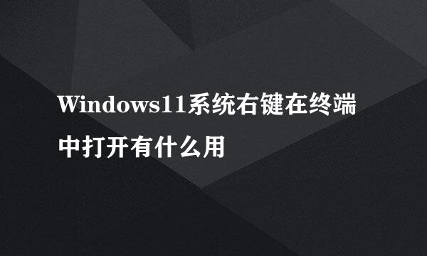 Windows11系统右键在终端中打开有什么用