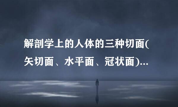 解剖学上的人体的三种切面(矢切面、水平面、冠状面)分别可以看到人体的那几个方位(以解剖学姿势为基础)