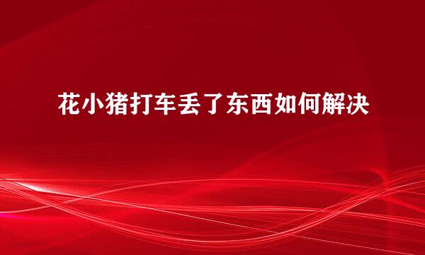 花小猪打车丢了东西如何解决