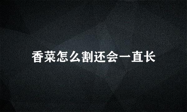 香菜怎么割还会一直长