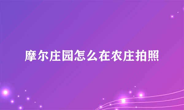 摩尔庄园怎么在农庄拍照