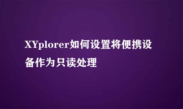 XYplorer如何设置将便携设备作为只读处理