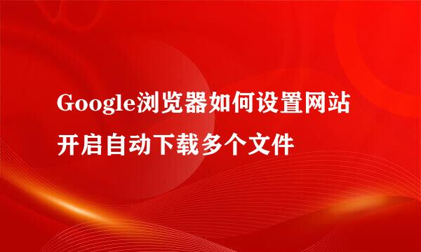Google浏览器如何设置网站开启自动下载多个文件