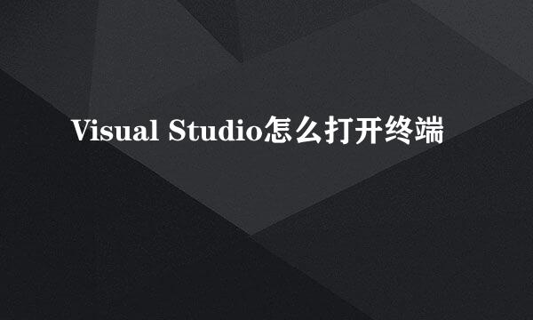 Visual Studio怎么打开终端