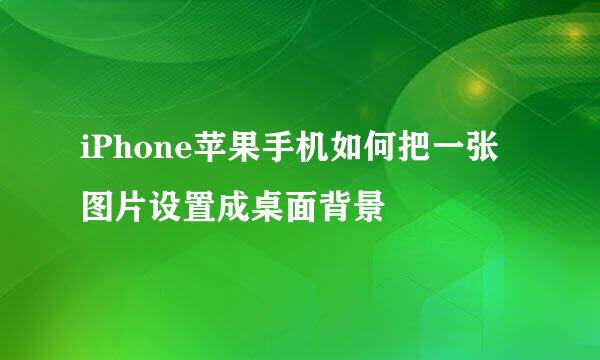 iPhone苹果手机如何把一张图片设置成桌面背景
