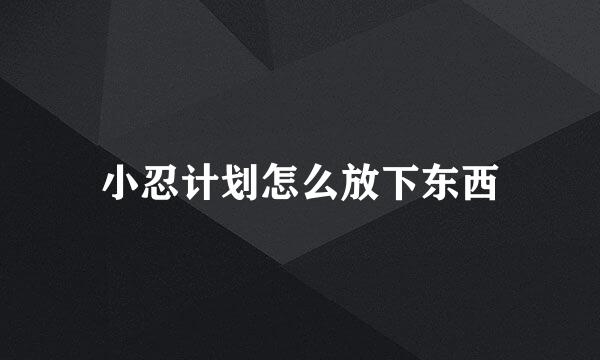 小忍计划怎么放下东西