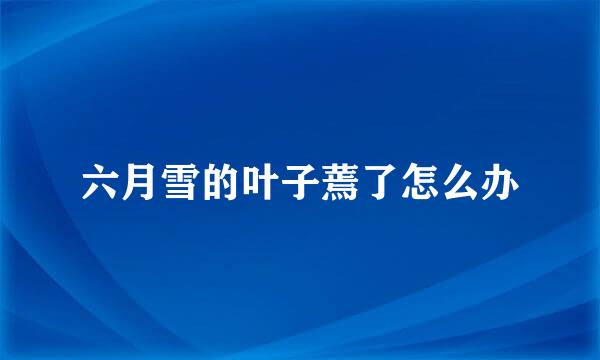 六月雪的叶子蔫了怎么办