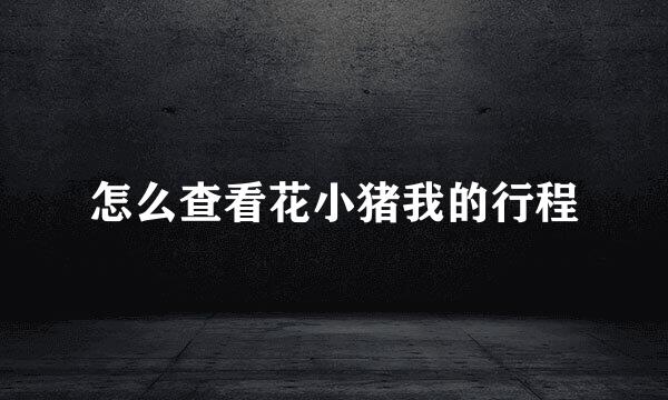 怎么查看花小猪我的行程
