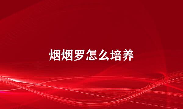 烟烟罗怎么培养