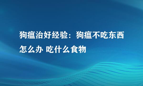 狗瘟治好经验：狗瘟不吃东西怎么办 吃什么食物