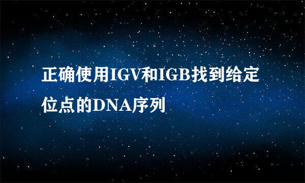 正确使用IGV和IGB找到给定位点的DNA序列